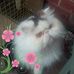 Geraldine Crompton - Facebook