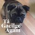 Geraldine Conroy - Facebook