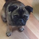 Geraldine Conroy - @geraldineconroy - Instagram