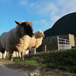 Geraldine Conroy Cullen - @gerconroy19 - Instagram