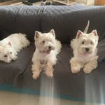 Géraldine Constantin - @geraldine.constantin.10 - Instagram