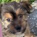 Geraldine Covington - Facebook