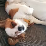 Geraldine Croft - Facebook