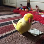 Geraldine Cunningham - @geraldinecunningham1632 - Instagram