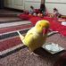 Geraldine Cunningham - Facebook