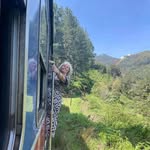 Geraldine Curry - @gcurry980 - Instagram