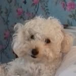 Geraldine Curry - @gerrycurry54 - Instagram