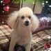 Geraldine Dillon - Facebook