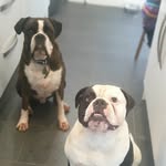 Geraldine Dolan - @dolan2279 - Instagram