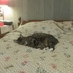 Geraldine Donaldson - @frog6208 - Instagram