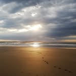 Geraldine Downes - @downes_geraldine - Instagram