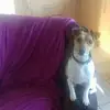 Geraldine Skelly Dowd - @geraldine.skelly - TikTok