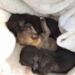 Geraldine Downes - @downes5962 - Instagram
