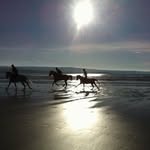 Geraldine O'Rourke - @geraldineenright11 - Instagram