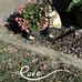 Geraldine Ferguson - Facebook