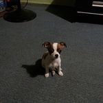 Geraldine Ferguson - @gerbear968 - Instagram