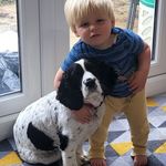 Geraldine Ford - @geraldine.ford - Instagram