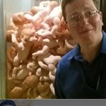 Geraldine Ford - @endless.fish.in.the.sea - Instagram