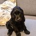 Geraldine Galloway - Facebook