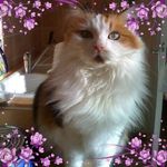 Géraldine Gauthier - @ourasieoyonnaxegg - Instagram