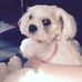 Geraldine Goode - Facebook