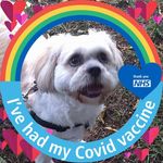 Geraldine Goode - @goodegeraldine - Instagram