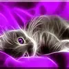 Geraldine Griego147 - @geraldinegriego5207 - TikTok