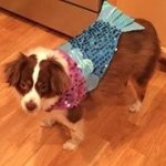 Geraldine Kordes Guthrie - @gguthrie110comcastnet - Instagram