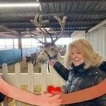 Geraldine Harding - @geraldine_harding - Instagram