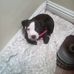 Geraldine Hodges - Facebook