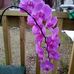 Geraldine Hodges - Facebook