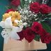 Geraldine Ann Hoff - Facebook