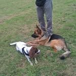 Geraldine Knox - @geraldine.knox.3 - Instagram