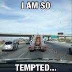 Geraldine Knox - @kalimpoi - Instagram