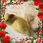 Geraldine Knox - Facebook