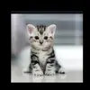 geraldinekraus158 - @geraldinekraus158 - TikTok