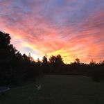 Geraldine MacDonald - @winterwindpress - Instagram