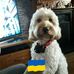 Geraldine Magee - Facebook