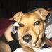 Gerry Marsh - Facebook