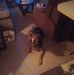 Geraldine Mcgee - Facebook