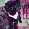 Geraldine McManus462 - @geraldinemcmanus41 - TikTok