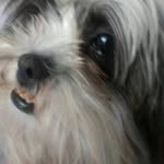 Geraldine Paola Melo Suarez - @geraldinepaolamelosuarez - Instagram