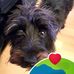 Geraldine Mullen - Facebook