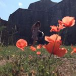 Geraldine Mullen - @geraldine.mullen.9 - Instagram
