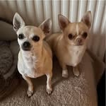 Annabelle Brown - @geraldinenoah14 - Instagram