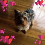 Geraldine O Connor - @geraldine.oconnor.779 - Instagram