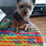 Geraldine O'Connor - Facebook