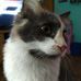 Geraldine Ogden - Facebook