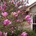 Geraldine Orr - Facebook