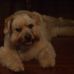 Geraldine Patrick - Facebook